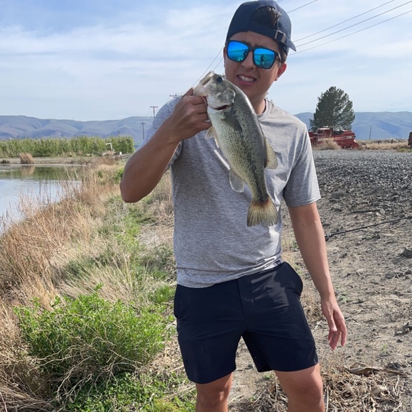 Meet your Posher, Julio - Picture 1 of 1